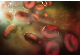 Am J Clin Nutr：血液中类胡萝卜素、视黄醇、生育酚对前列腺癌的影响