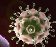 STM：研究HIV疫苗的免疫反应为疫苗研发提供线索