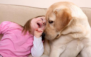 AAP 2015：安慰犬对癌症患儿和家人的心理健康至关重要
