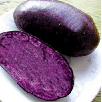 J Nutr Biochem：紫土豆能抑制癌症干细胞的生长