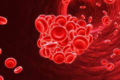 Cancer Cell：血小板携带的<font color="red">肿瘤</font>RNA可有助于诊断分类<font color="red">肿瘤</font>并可提供最佳的治疗方案