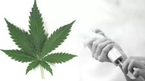 CNS 2015：大麻不仅对癫痫疗效好，还有更多奇效