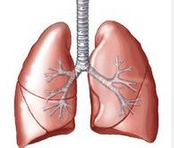 BMC Cancer：不同肺部疾病与不同类型肺癌间关系