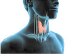 Thyroid：NSAIDs不能降低<font color="red">甲状腺</font>癌风险