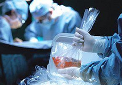 美媒评中国器官移植窘境：病人在手术台 器官堵路上