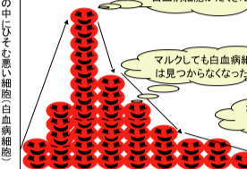 <font color="red">日本</font>医生怎么把白血病给“染红”