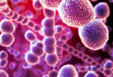PLoS Med：检测肺炎链球菌携带——微阵列是最好的方法
