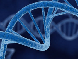 基因测序：数据处理与标准问题仍待解
