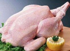 广东确诊今冬首例H7N9 专家提醒不要接触活禽