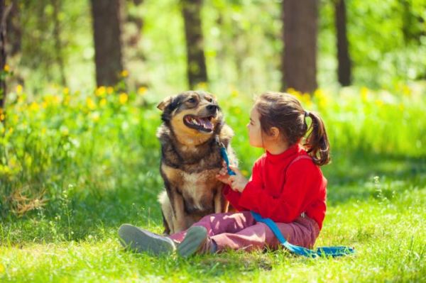 CDC：喂养宠物狗有益于儿童的心理<font color="red">和</font>行为<font color="red">健康</font>