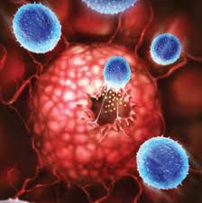 PNAS：癌细胞可反向生成癌症干细胞