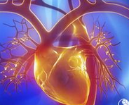 Lancet：2例生物假体人工心脏使用报告