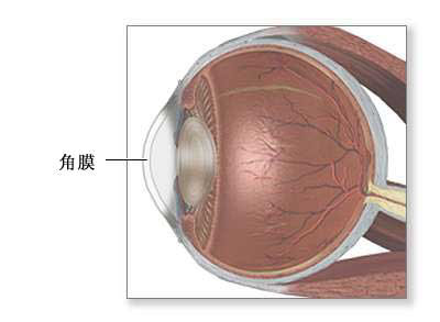 角膜移植术-正常解剖、手术适应症、手术切口、手术过程和术后护理（图片）