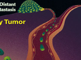 PNAS：<font color="red">蛋白激酶</font>不突变也可促进前列腺癌转移