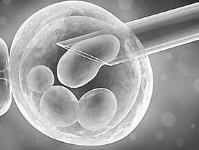Hum Reprod：胚胎移植前子宫内膜过薄增加异位妊娠的风险