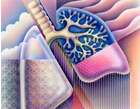 CHEST：肺结缔组织病的组织学特征