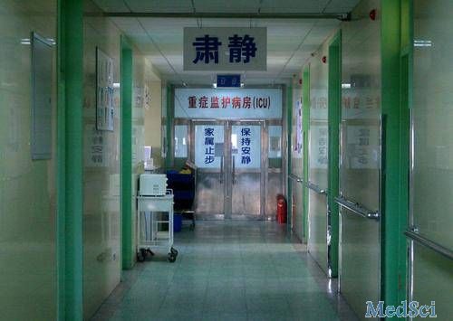 ICU医护人员的自述：用冷静、理性、科技构筑生命的最后防线