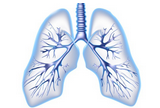 BMJ Open：<font color="red">COPD</font>患者预后相关因素