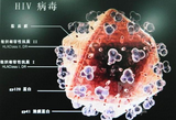 BMJ Open：中国浙江男男性行为群体中HIV感染率高达13.8%！