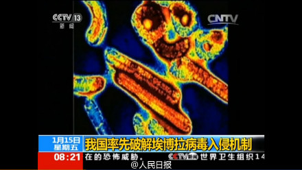 中国科学家首次阐明埃博拉病毒<font color="red">入侵</font>人体<font color="red">机制</font>