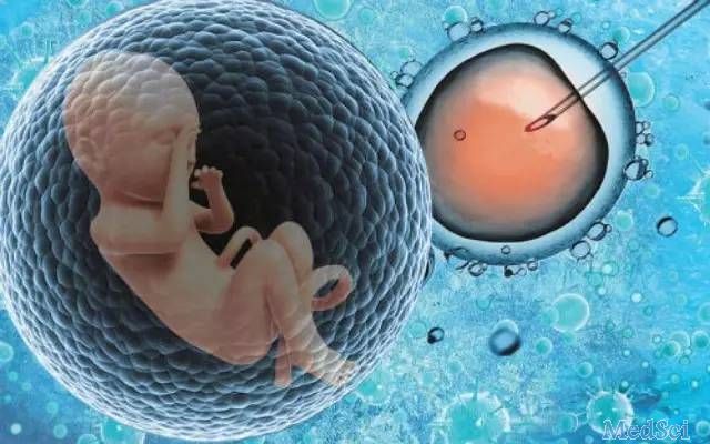 复旦大学王磊课题组揭开人类卵子成熟障碍之谜