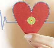 研究揭示心脏侧枝动脉形成机制