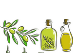 <font color="red">Food</font> Chemistry：使用橄榄油煎食品最有营养价值