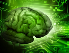 eLife：人类脑容量比预期大十倍,相当于整个互联网