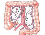 Gastroenterology：阿司匹林+骨化三醇+<font color="red">碳酸钙</font>，能不能预防结直肠腺瘤的复发？