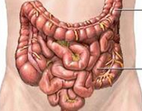 Gastroenterology：通过粪便中钙卫蛋白对溃疡性结肠炎患者结局进行预测