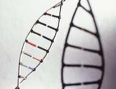 Nature：新识别受体可能帮助基因疗法飞速发展