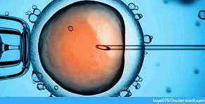 关于英国允许胚胎基因编辑不可不知的10件事