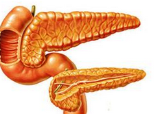 BMJ：基于肠促胰素的药物不会增加胰腺癌风险
