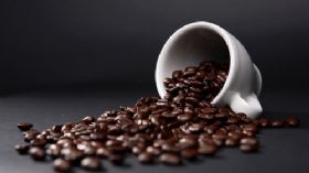 J Pediatrics：咖啡因暴露保护极低出生体重新生儿发生急性肾损伤