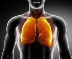 BMJ：结缔组织疾病相关的间质性肺病的管理