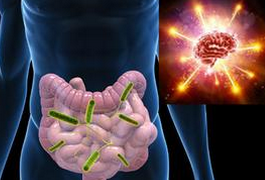 Gut：原发性硬化性<font color="red">胆管</font>炎、溃疡性结肠炎、健康人群的肠道微生物差异