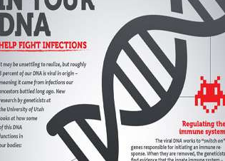 Science：人类机体<font color="red">DNA</font>中古老的<font color="red">病毒</font>“入侵者”或帮助机体抵御感染