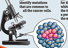 研究称找到癌症致命弱点 追杀每个癌细胞