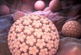 定期高危型HPV基因检测让女性远离<font color="red">宫颈</font>癌