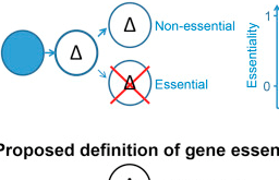 缺失一些必需基因，细胞照样<font color="red">存活</font>！