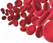 首次发现凋亡细胞<font color="red">吞噬</font>和免疫耐受新机制