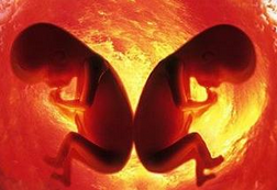 【指南】双胎妊娠问题解答