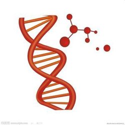 【Nature盘点】解密CRISPR：<font color="red">基因</font><font color="red">编辑</font>技术或许才刚刚开始