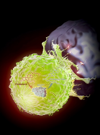 <font color="red">中国</font>科学家发现提高T细胞抗肿瘤免疫功能新方法