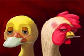 广东惠州H5N6禽流感患者死亡