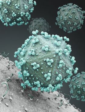 <font color="red">Angew</font> Chem：新技术让你亲眼看到病毒如何感染细胞