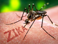 CDC：感染Zika病毒的男性需等6个月才能进行无保护<font color="red">措施</font>的性活动