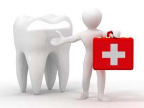 Exp Mol Med：<font color="red">动物模型</font>解释慢性应激加重牙周炎的机制