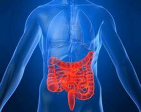 Am J Gastroenterol：炎症性肠病（IBD）与胆管癌风险增加有关