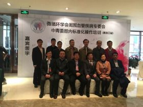 中国微循环学会周围血管疾病专业委员会中青年委员会在哈举行腔内标准化治疗培训班
